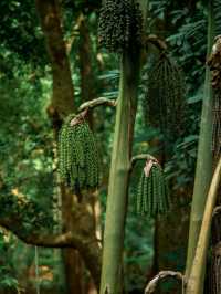 น้ำผุดธรรมชาติเขาใหญ่ , ปากช่อง