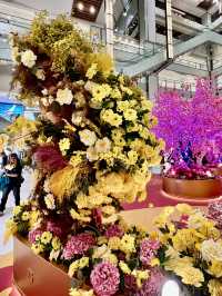 「桃花開運庭園」@新城市廣場