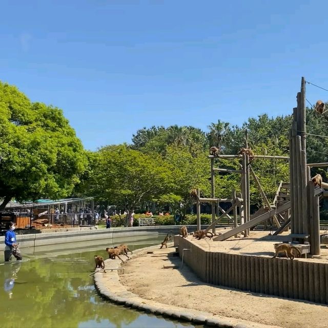 福岡好去處