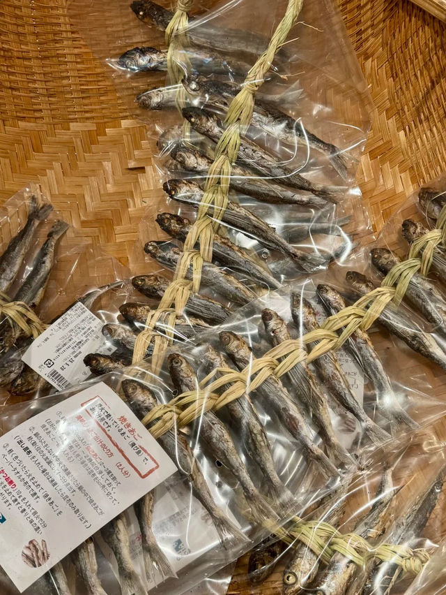 🇯🇵 福岡的一人散步的浪漫