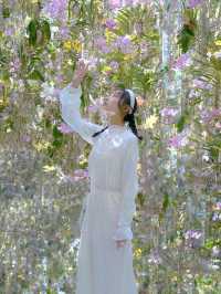 體驗「人與展區」無界線》豐洲teamlab!