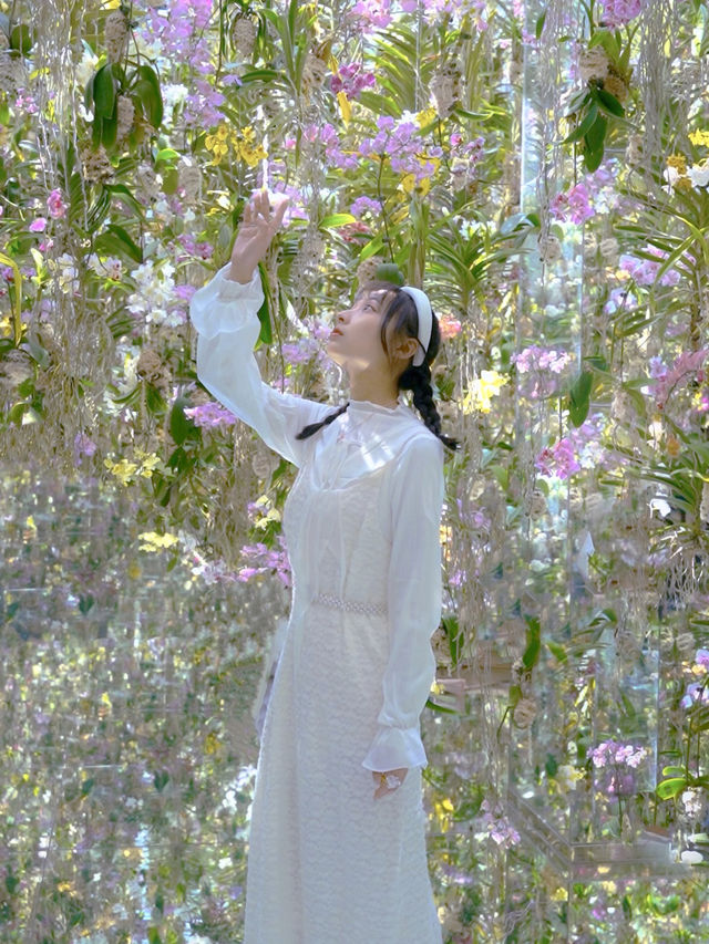 體驗「人與展區」無界線》豐洲teamlab!