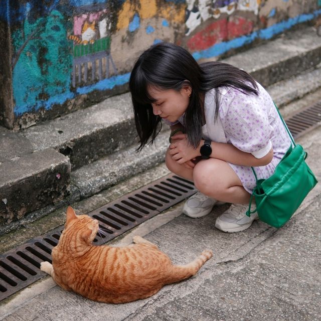 香港 香港貓島p.2