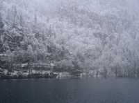🇩🇪德國之最國王湖-kongssee🇩🇪