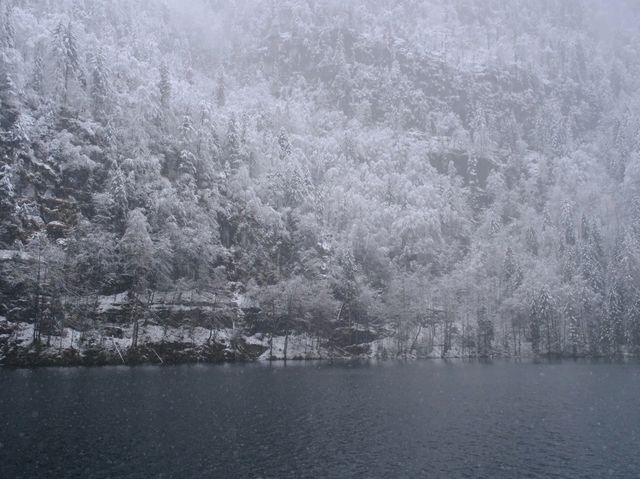 🇩🇪德國之最國王湖-kongssee🇩🇪
