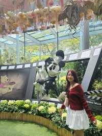 ชมดอกไม้สุดอลังการที่ The Floral Fantasy 🌸