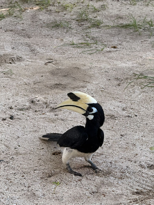 อุทยานแห่งชาติหมู่เกาะอ่างทอง🕊️🦜🏝️