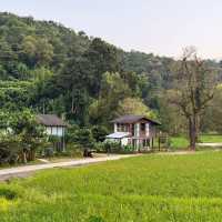 ”เนินแจ่มใส“ ที่พักกลางหุบเขาสุดชิล #เชียงใหม่ 🏠🍃