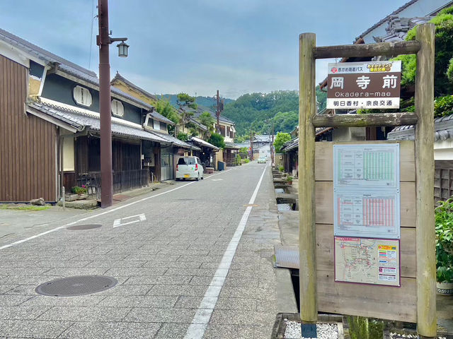【奈良】あじさいの名所　岡寺
