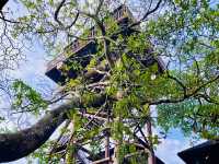 “Putrajaya Wetlands Park: A Tranquil Oasis of Nature!”