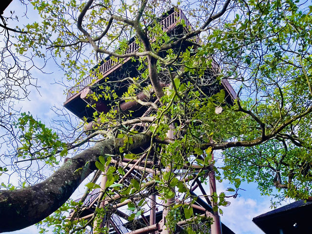 “Putrajaya Wetlands Park: A Tranquil Oasis of Nature!”