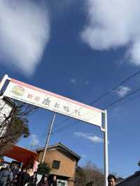 南部（みなべ）梅林へ今年初めての梅を見に❤️