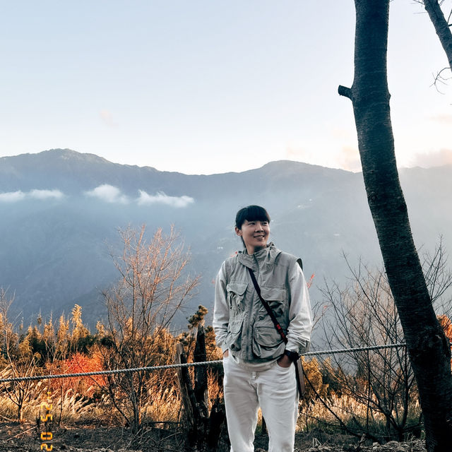 去露營吧！新竹五峰竹鷹露營區🏕️隨時變換景色的高海拔營區推薦！