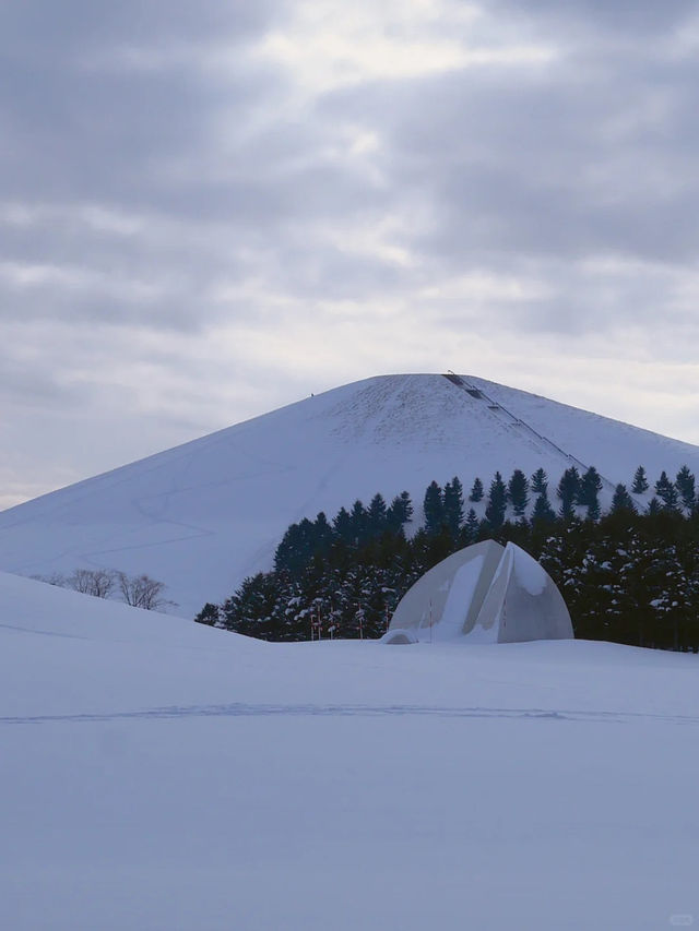 冬日札幌 🪨 莫埃來沼公園｜雪中的藝術與靜謐