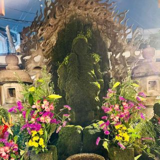 Hozenji Temple (法善寺) – A Hidden Gem in Dotonbori.