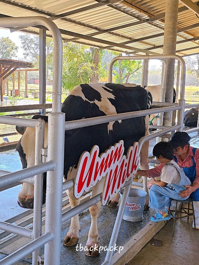 ขับรถตะลอนฟาร์ม กิจกรรมครอบครัวที่ฟาร์มโชคชัย🐮