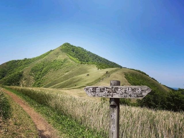 蒜山の魅力