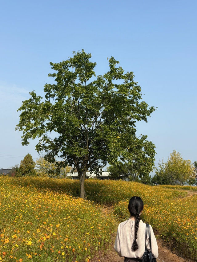 곡성