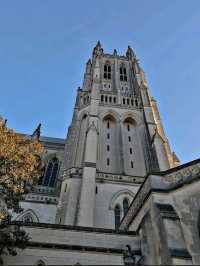 BEAUTIFUL CATHEDRAL.