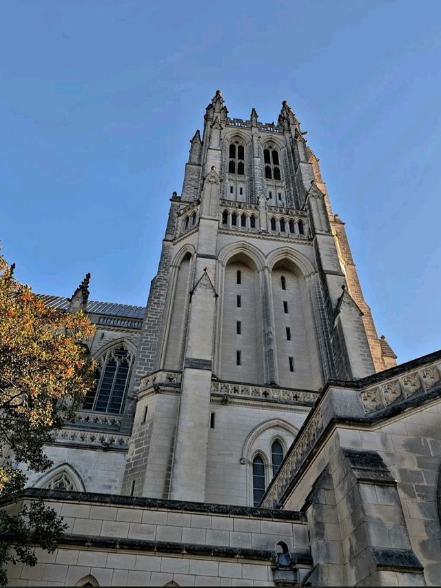 BEAUTIFUL CATHEDRAL.