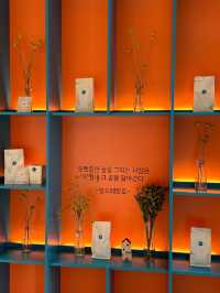 💟💝원주 강원도 얼음절벽 카페 스톤크릭