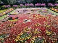 The Taean Tulip Festival in Anmyeondo, South Korea