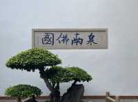 🕍 **【泉州承天寺：鬧市中的禪意淨土】** 🌿  