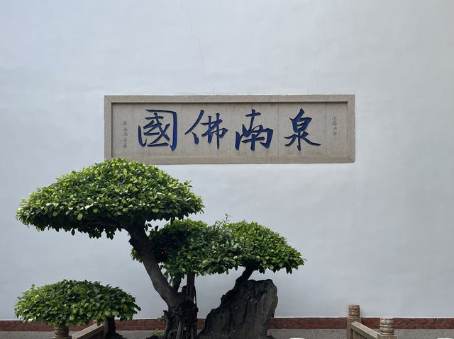 🕍 **【泉州承天寺：鬧市中的禪意淨土】** 🌿  