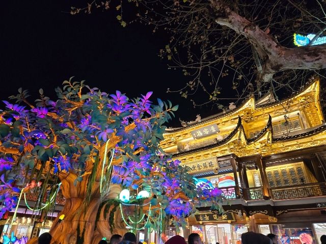상해여행 야경스팟 추천 ⭐️ : 예원 야경🌃