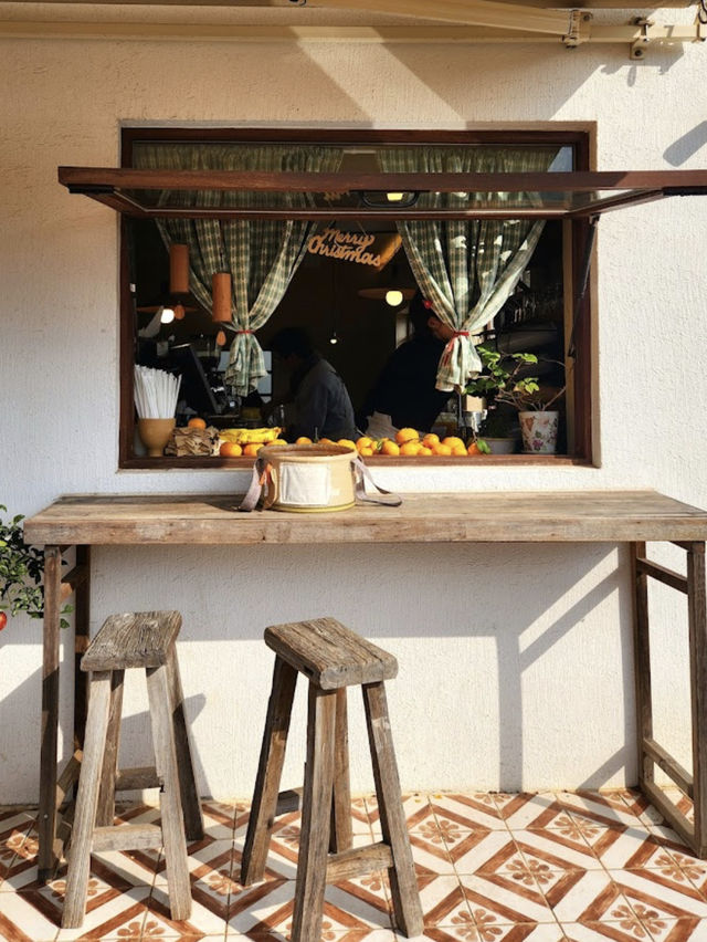 Tangerine picking cafe 