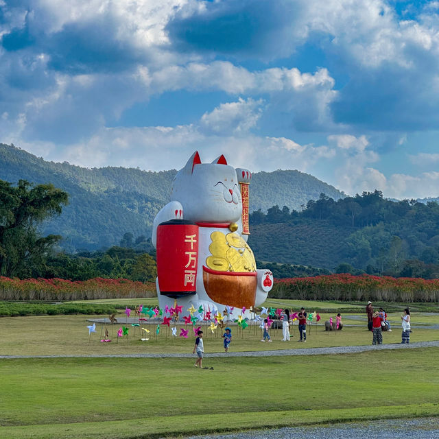 ปราสาทไม้หอม🏯ญี่ปุ่น🇯🇵ฮิโนกิแลนด์เชียงใหม่