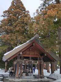 札幌春雪~圓山公園與北海道神宮