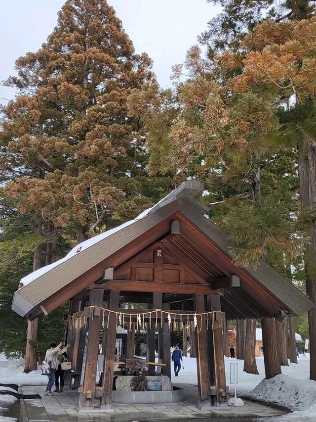 札幌春雪~圓山公園與北海道神宮