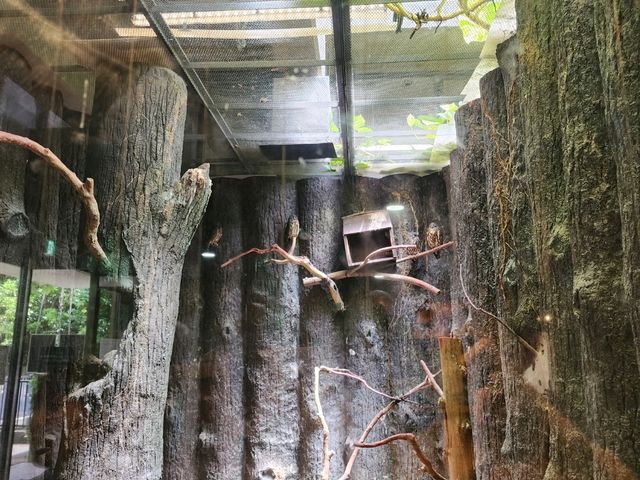 家族で楽しむ都心のリフレッシュポイント – 上野動物園で癒しのひととき