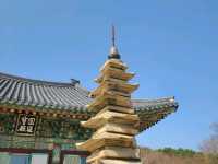 양양 낙산사