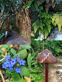 Victoria Peak Hiking, an amazing experience combining nature, history & stunning views! 