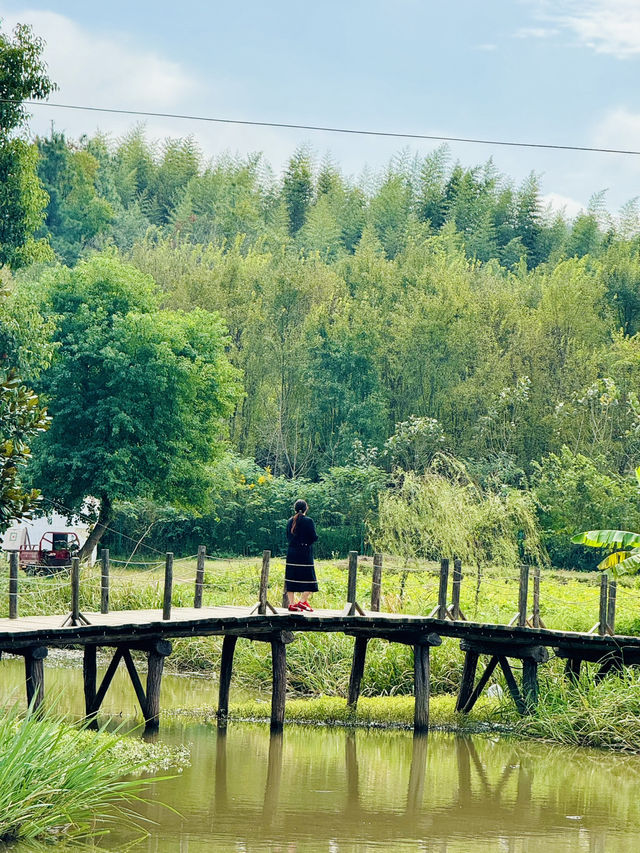 A Serene Retreat at Wind Valley Natural Farm, Hefei 🌸