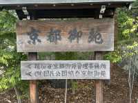 靜謐綠洲：漫遊京都御苑的歷史與自然之美