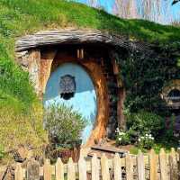 紐西蘭北島必訪，參觀哈比人的電影小屋 Hobbiton Movie Set Tours