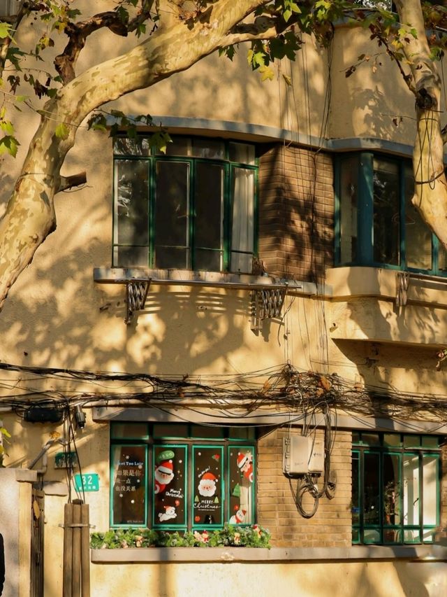 Fuxing West Road｜Gentle Serenity Beneath the Plane Trees
