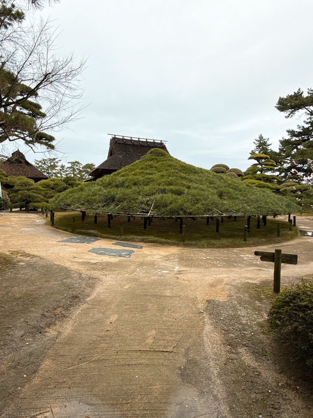 【丸亀】景色多様✨日本最大の広さの文化財庭園✨