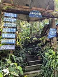 藏身山林的卓也小屋度假園區🎋