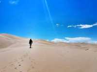Sustainable Adventure at Khongor Sand Dunes, Mongolia