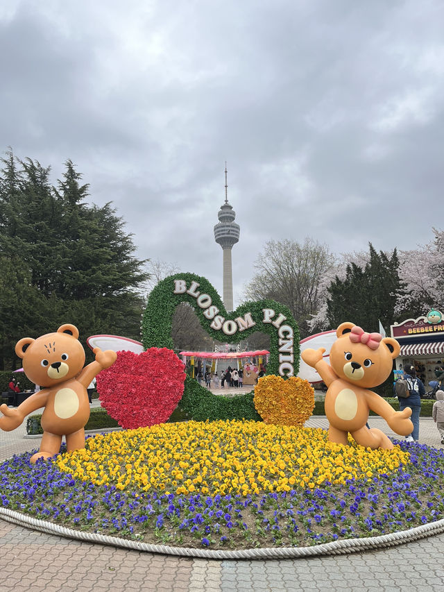 遊園地でお花見🌸⁉️ 大邱 Eワールドの魅力✨💗 遊園地でお花見🌸⁉️ 大邱 Eワールドの魅力✨💗