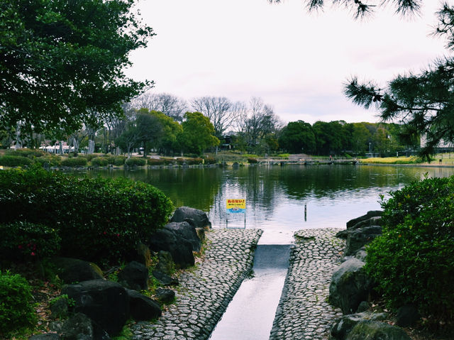 のんびりとした癒しの水辺スポット🐟🪷