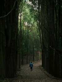 Longyi Botanical Garden