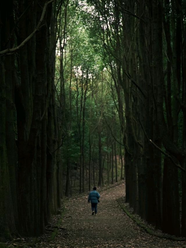 Longyi Botanical Garden