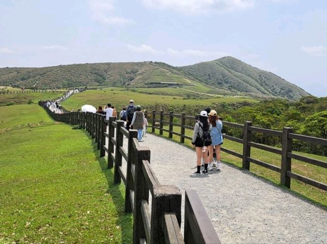 造訪擎天崗