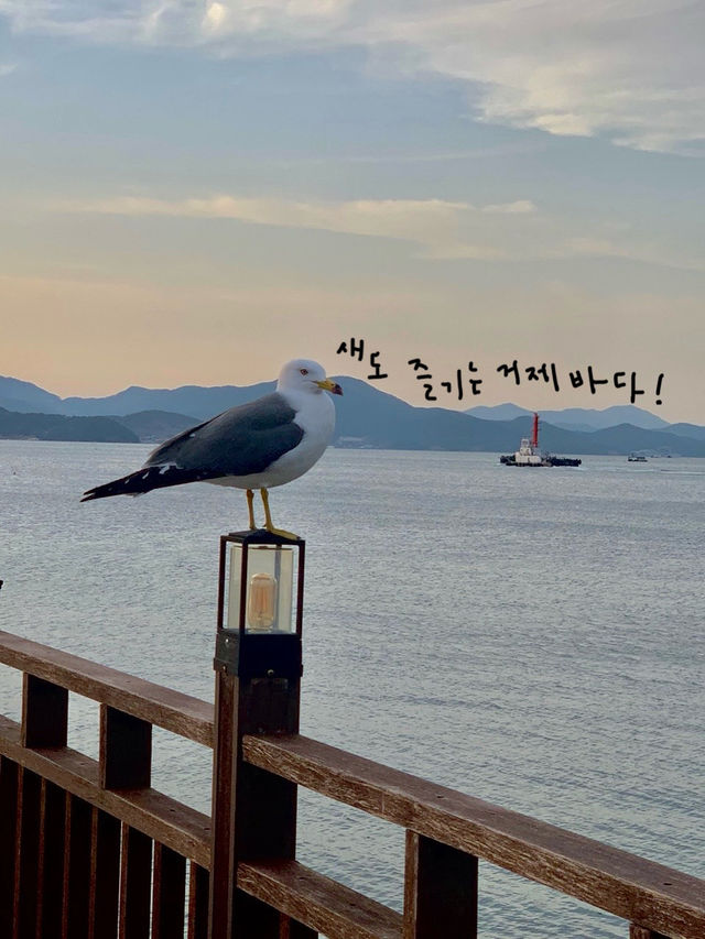 🌅 거제 카페 온더선셋, 바다와 노을을 함께하는 힐링 공간 🌅 