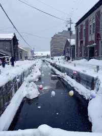 Sapporo 6 Days Itinerary 